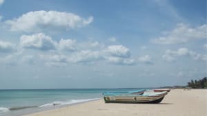 Top 7 Things To Do In Trincomalee While Visiting Via Cruise! 2 trincomalee